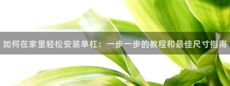 富联娱乐平台是什么软件：如何在家里轻松安装单杠：一步