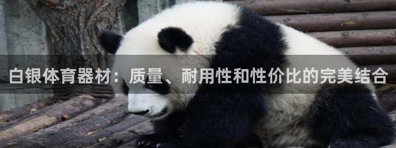富联娱乐测速怎么样：白银体育器材：质量、耐用性和性价