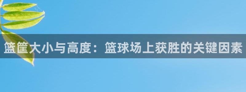 富联平台选 58534I 富联：篮筐大小与高度：篮球