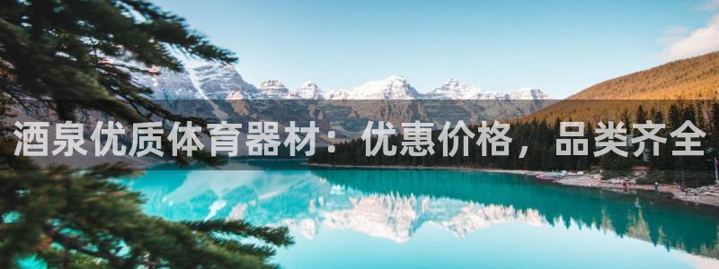富联娱乐总代理电话：酒泉优质体育器材：优惠价格，品类