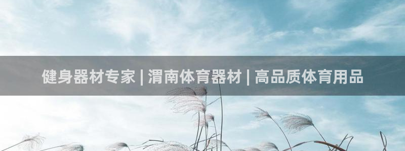 富联娱乐服务站电话：健身器材专家 | 渭南体育器材 