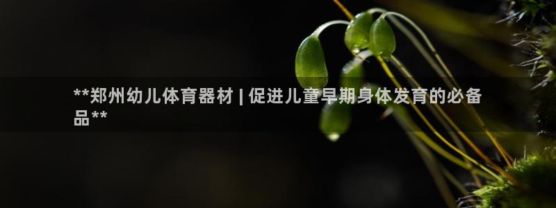 富联平台地址是什么：**郑州幼儿体育器材 | 促进儿