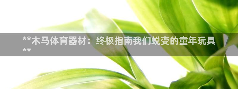 富联平台李 411O31 富联：**木马体育器材：终