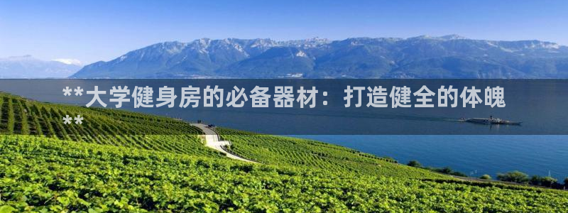 富联官方网站下载：**大学健身房的必备器材：打造健全