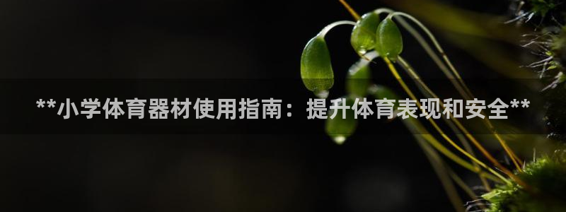 富联平台非7O777：**小学体育器材使用指南：提升