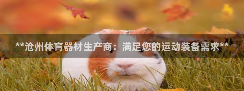 富联申购上市价格预测最新：**沧州体育器材生产商：满