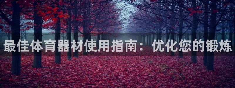 富联平台目 411O31 富联：最佳体育器材使用指南