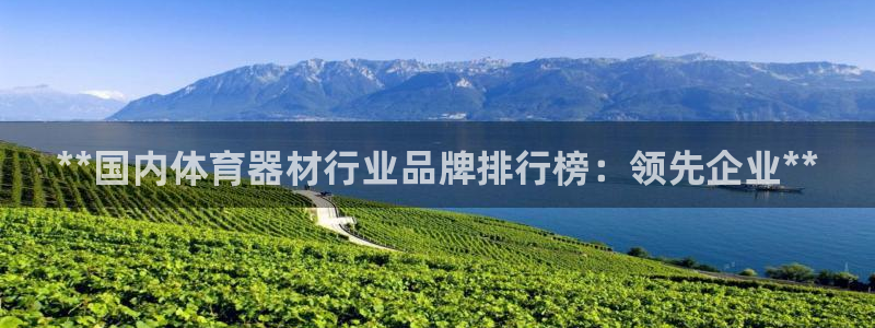 富联平台联 5O6917 富联：**国内体育器材行业