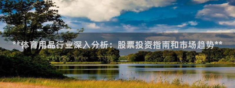 富联娱乐在线注册链接：**体育用品行业深入分析：股票