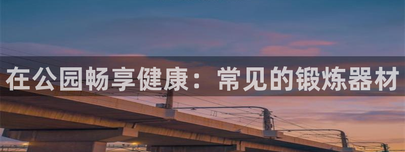 富联娱乐负责人：在公园畅享健康：常见的锻炼器材