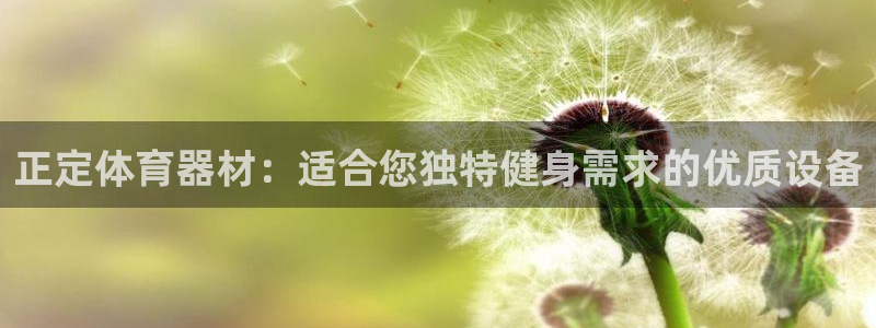 富联公寓：正定体育器材：适合您独特健身需求的优质设备