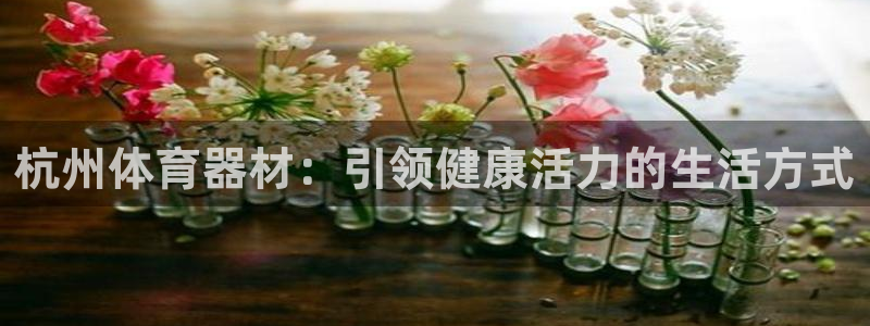 富联平台地址是什么：杭州体育器材：引领健康活力的生活