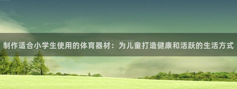 富联官方网站下载安装最新版：制作适合小学生使用的体育