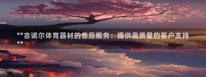 富联平台总代理是谁：**吉诺尔体育器材的售后服务：提
