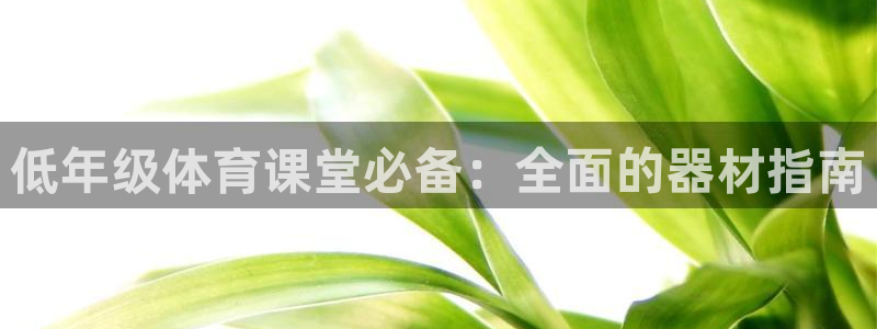 富联娱乐在线注册链接是什么：低年级体育课堂必备：全面