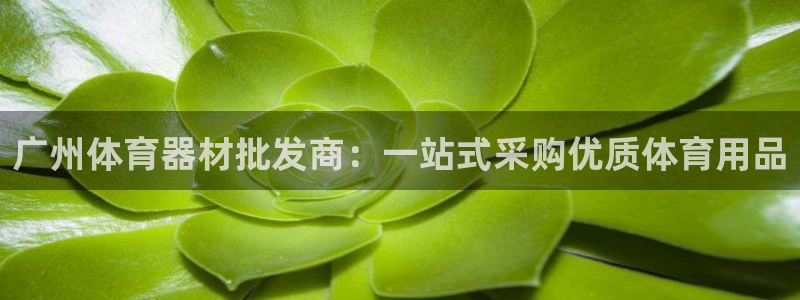 富联官方网站入口查询：广州体育器材批发商：一站式采购