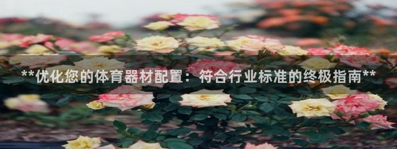 富联平台用户登陆不上：**优化您的体育器材配置：符合