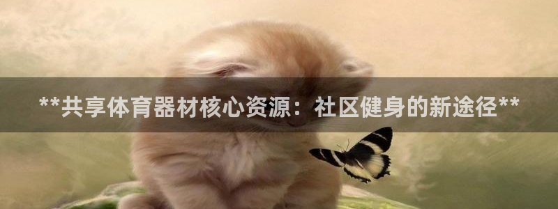 富联娱乐老板是谁：**共享体育器材核心资源：社区健身