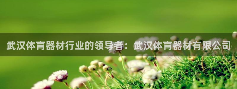 富联平台木 5o69I7：武汉体育器材行业的领导者：