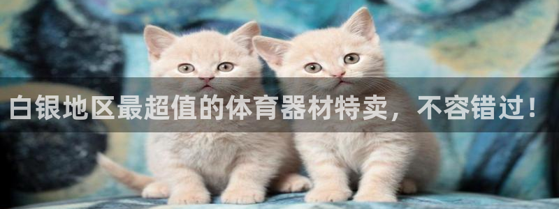 富联申购上市价格预测表：白银地区最超值的体育器材特卖