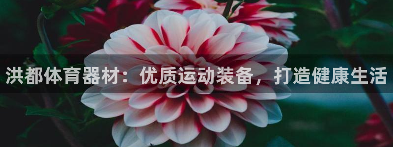 富联娱乐登录注册入口官网下载：洪都体育器材：优质运动