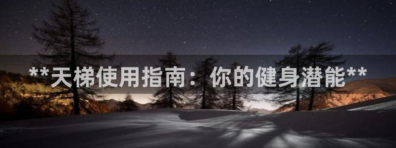 富联平台登录入口官网：**天梯使用指南：你的健身潜能