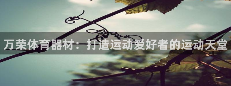 富联娱乐在线注册链接：万荣体育器材：打造运动爱好者的