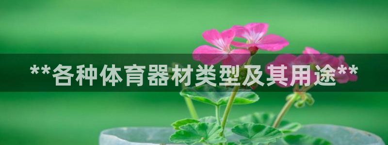 富联集团最新消息新闻：**各种体育器材类型及其用途*