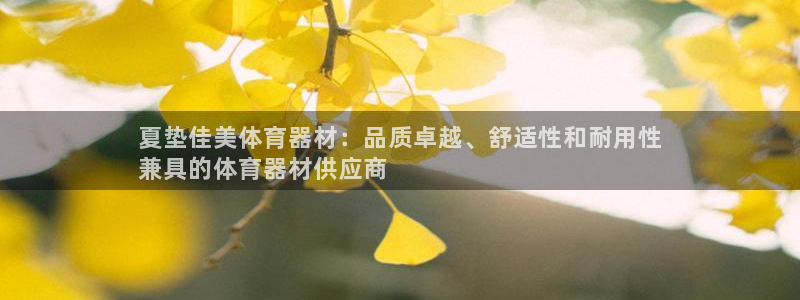 富联食品加工厂：夏垫佳美体育器材：品质卓越、舒适性和