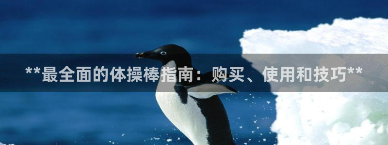 富联平台登入：**最全面的体操棒指南：购买、使用和技
