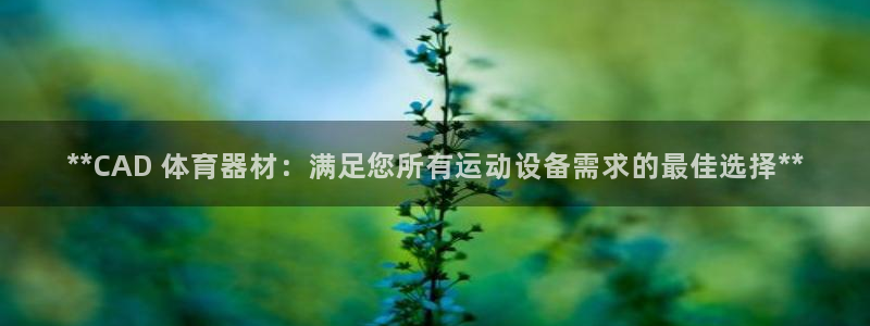 富联平台李 37oo735：**CAD 体育器材：满