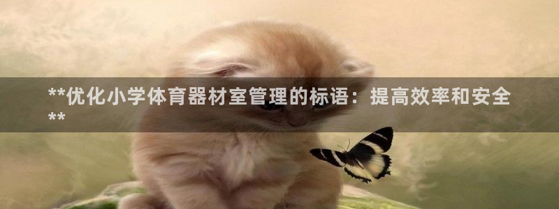 富联官方网站入口网址是什么：**优化小学体育器材室管