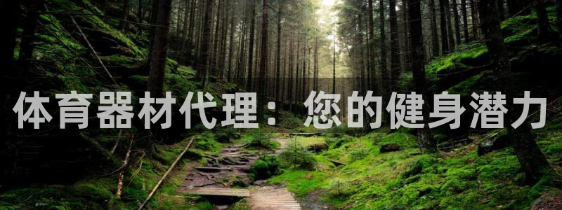 富联娱乐总代理是谁：体育器材代理：您的健身潜力