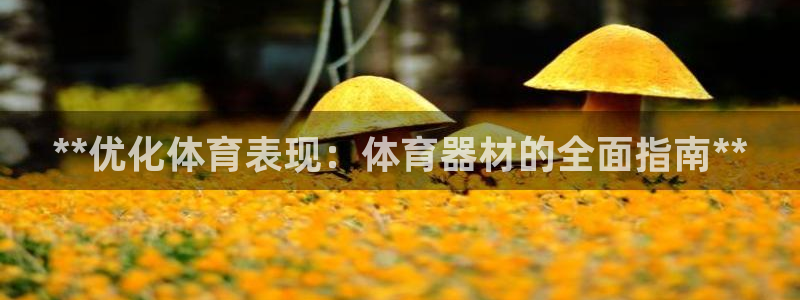 富联官网登录入口网址：**优化体育表现：体育器材的全