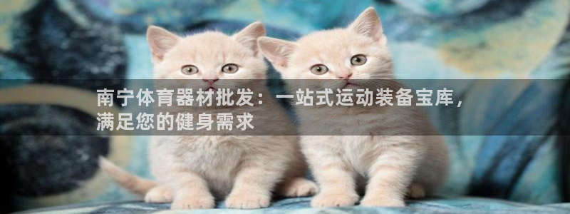 富联金融：南宁体育器材批发：一站式运动装备宝库，
满