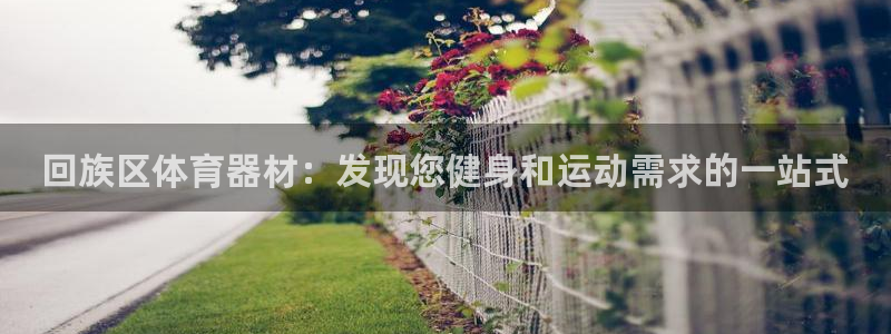 富联平台注册地址是哪里：回族区体育器材：发现您健身和