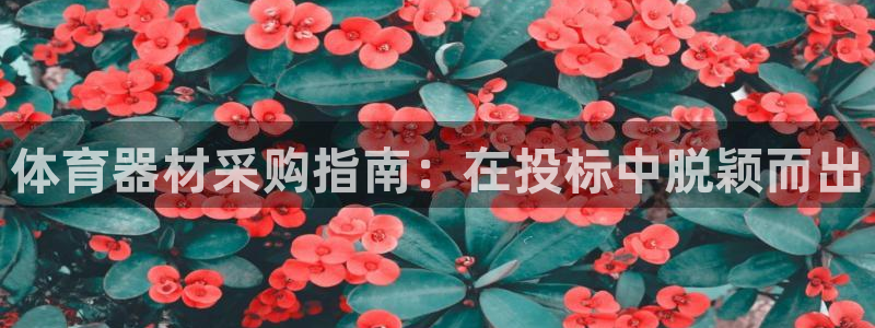 富联申购何时上市：体育器材采购指南：在投标中脱颖而出