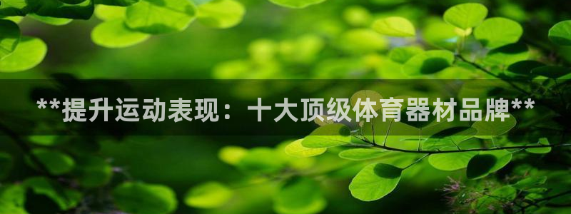 富联大厦：**提升运动表现：十大顶级体育器材品牌**