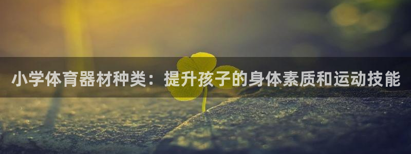富联娱乐代理怎么做的：小学体育器材种类：提升孩子的身