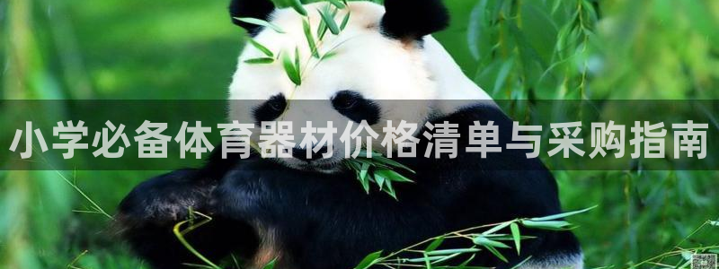 富联娱乐平台怎么样啊：小学必备体育器材价格清单与采购