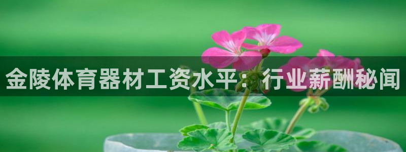 富联平台上级下级是什么：金陵体育器材工资水平：行业薪