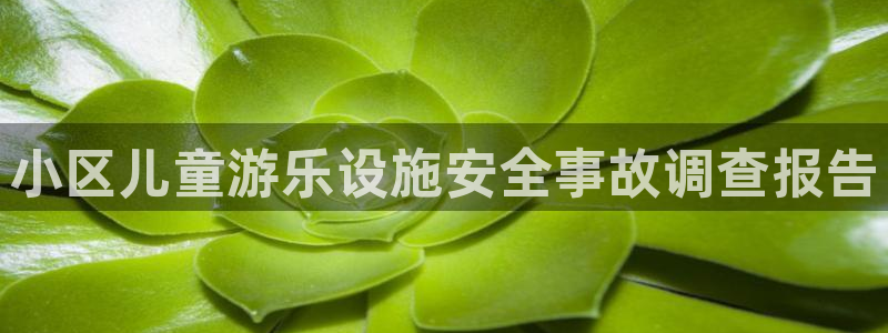 富联娱乐集7O777：小区儿童游乐设施安全事故调查报