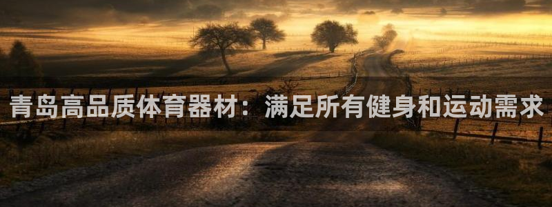 富联平台是什么：青岛高品质体育器材：满足所有健身和运