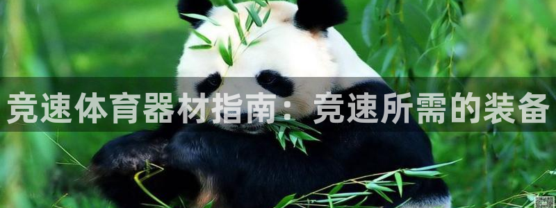 富联娱乐登录地址：竞速体育器材指南：竞速所需的装备