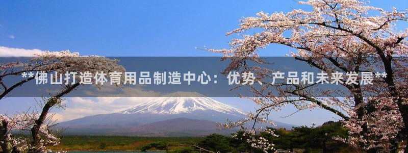 富联集团做什么的：**佛山打造体育用品制造中心：优势