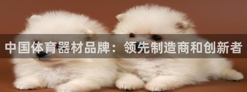 富联平台选 585341 平台：中国体育器材品牌：领
