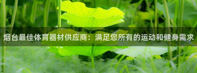 富联娱乐是资金盘吗：烟台最佳体育器材供应商：满足您所
