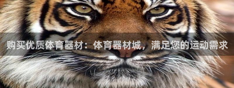 富联集团最新消息新闻：购买优质体育器材：体育器材城，