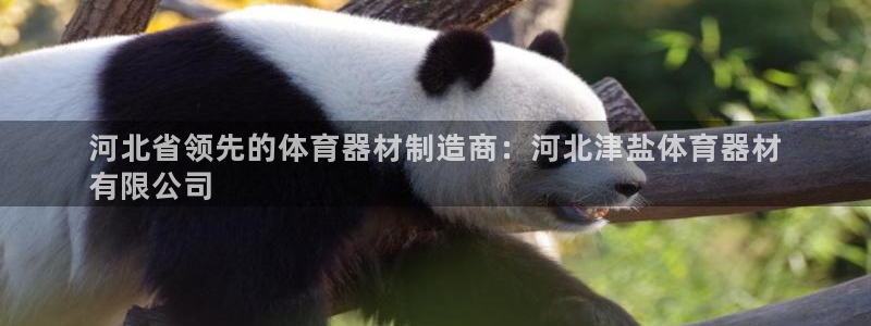 富联平台寇 37oo735：河北省领先的体育器材制造