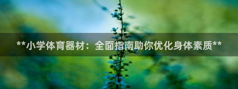 富联公寓：**小学体育器材：全面指南助你优化身体素质